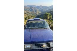 Chevrolet D 20