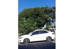 Honda City Sedan